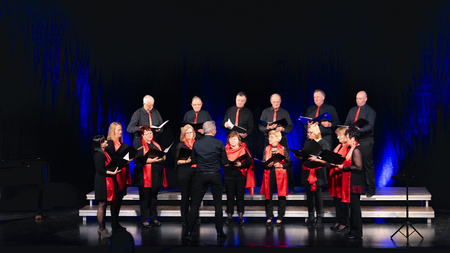 Območna revija odraslih pevskih zasedb JSKD OI Kamnik  (6)